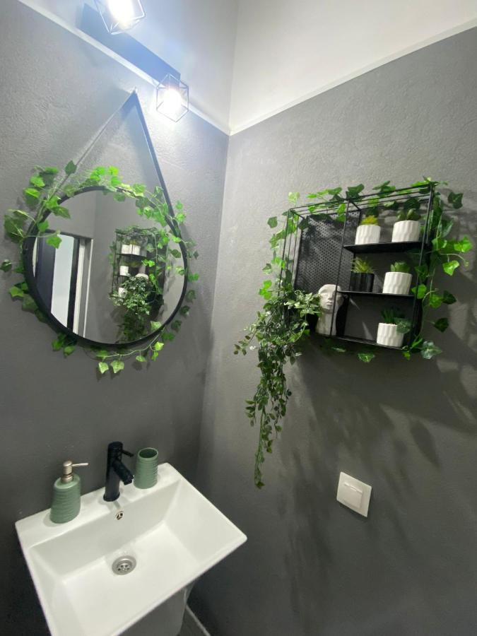 Green Vibes Central Brasov Exterior photo